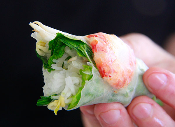 Spring Roll