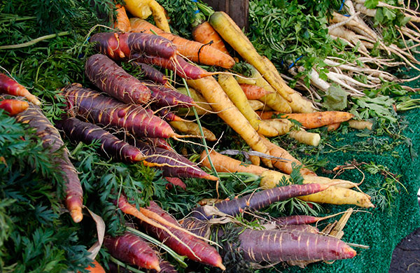 coloful-carrots